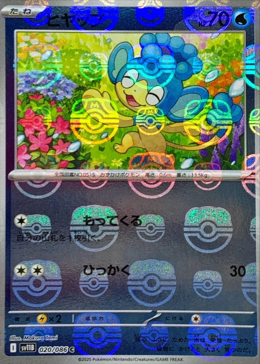 Panpour [Master Ball] #20