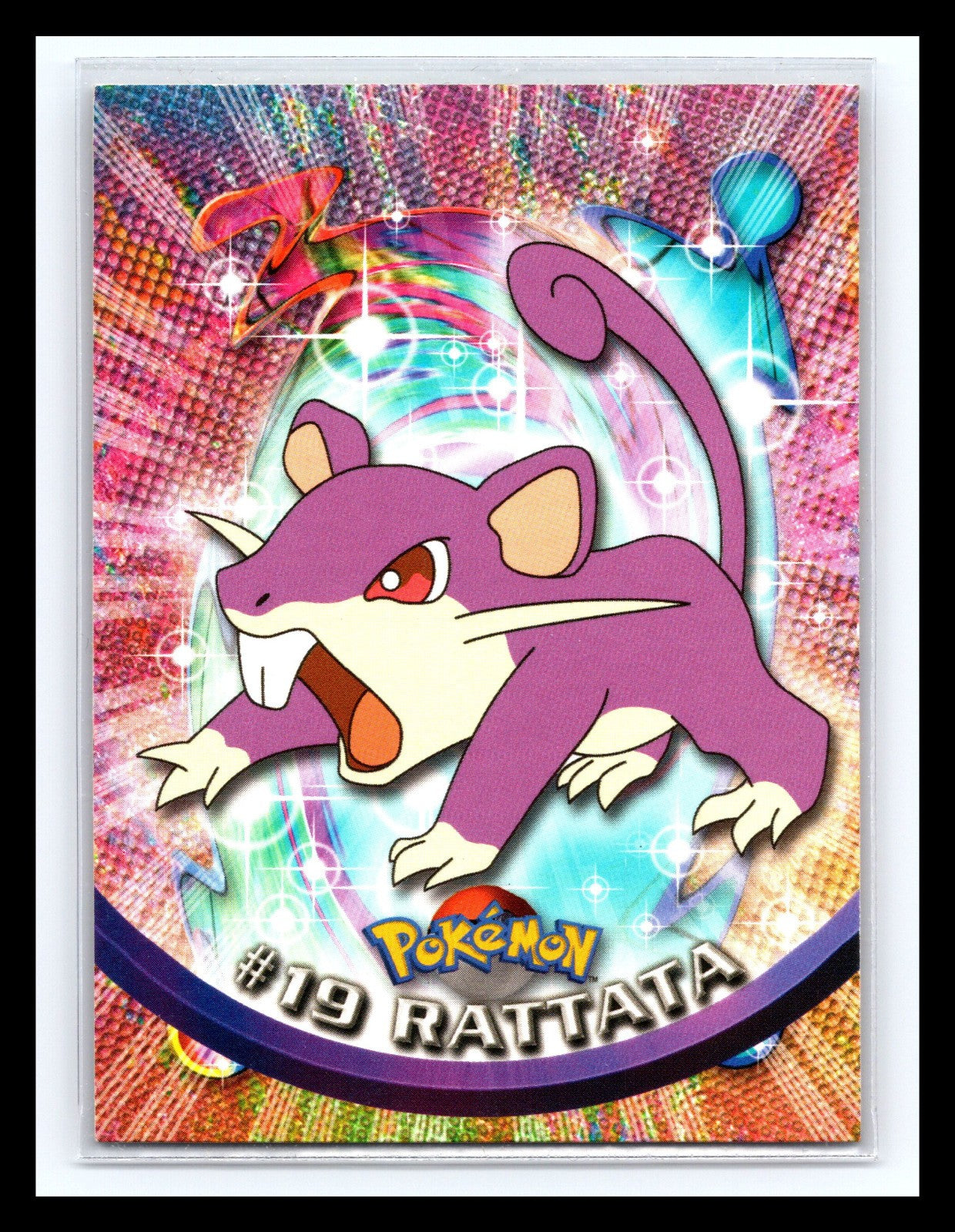 Rattata #19