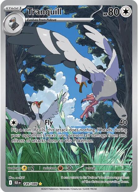 Tranquill #149