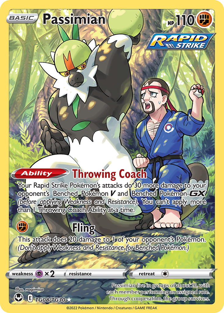 Passimian Silver Tempest tg08
