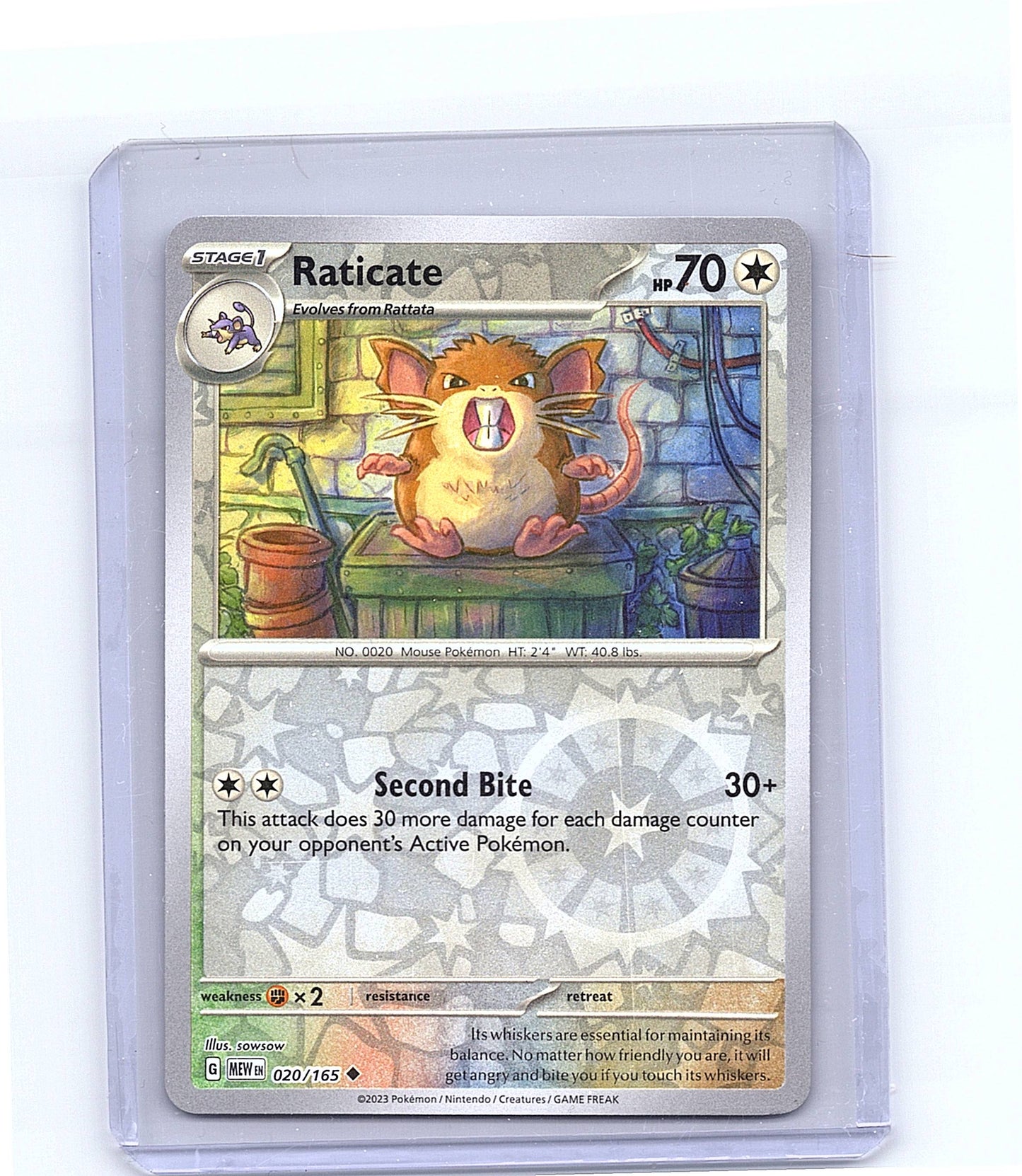 Raticate [Reverse Holo] #20