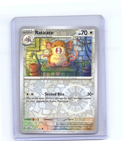 Raticate [Reverse Holo] #20