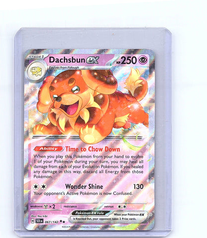 Dachsbun ex #67