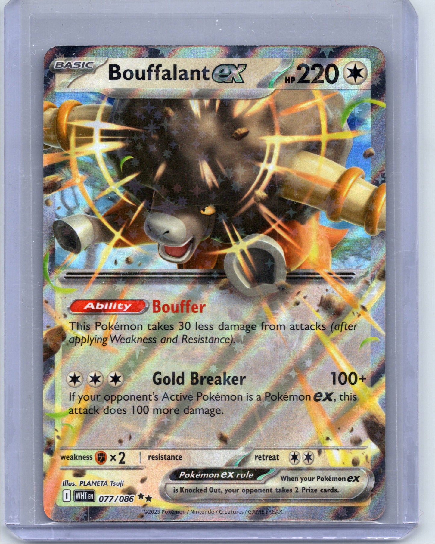 Bouffalant ex #77
