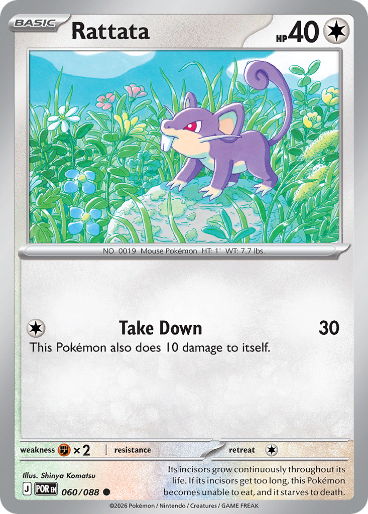 Rattata Perfect Order 60