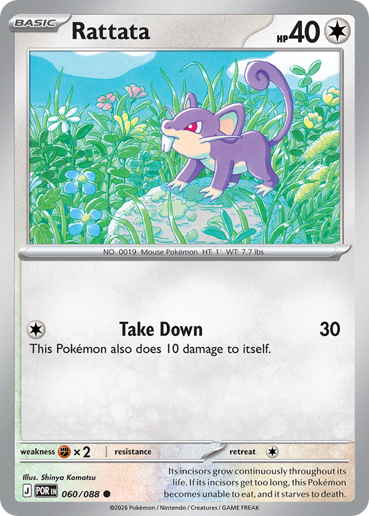 Rattata Perfect Order 60