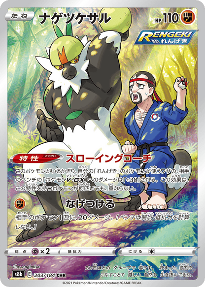 Passimian Japanese VMAX Climax 203