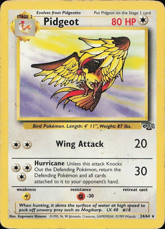 Pidgeot #24
